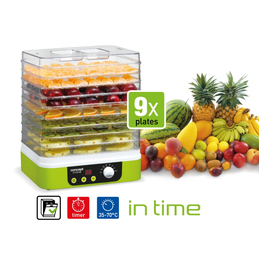 Concept SO1060 - Dörrgerät 260W/230V grün