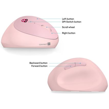 CONNECT IT CMO-2600-PK - Ergonomische kabellose Maus 800/1200/1600 DPI 1xAA rosa