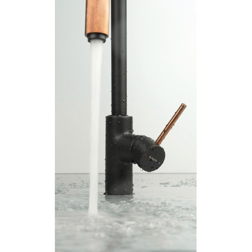 Deante BCA_B64M - Küchenarmatur ASTER, schwarz/messing