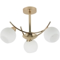 Deckenleuchte an Stange AMOS 3xE27/40W/230V golden