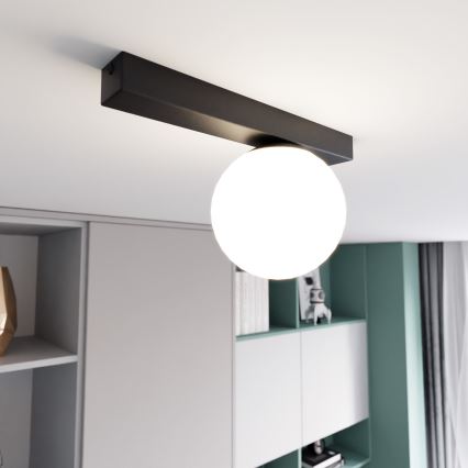 Deckenleuchte FIT 1xE14/10W/230V schwarz/weiß