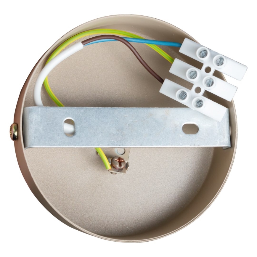 Deckenspot DEX 2xE14/10W/230V beige/creme