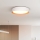 Dimmbare LED-Deckenleuchte LARIOS LED/48W/230V 3000-6500K d 39 cm weiß + Fernbedienung