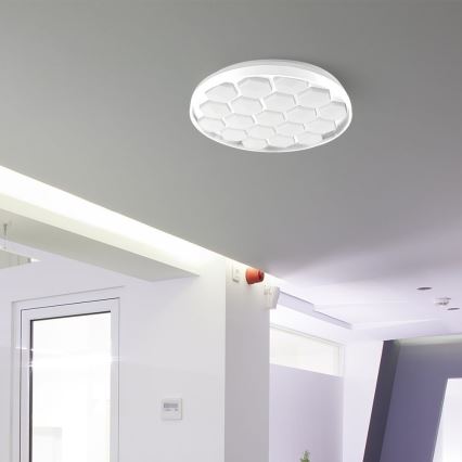 Dimmbare LED-Deckenleuchte LED/60W/230V 3000/4000/6500K d 49 cm + Fernbedienung