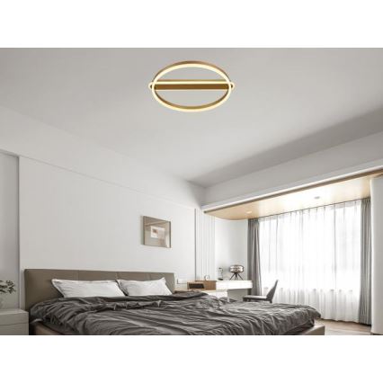 Dimmbare LED-Deckenleuchte LED/60W/230V 3000-6500K + Fernbedienung
