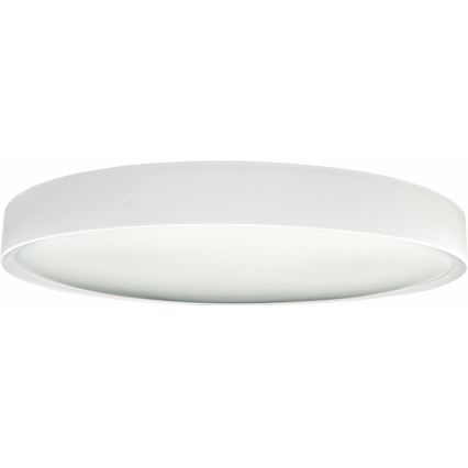 Dimmbare LED-Deckenleuchte SAMER LED/40W/230V 2900-6000K + Fernbedienung