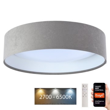 Dimmbare LED-Deckenleuchte SMART GALAXY LED/36W/230V d 55 cm 2700-6500K Wi-Fi Tuya grau/weiß + Fernbedienung