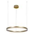 Dimmbare LED-Hängeleuchte LED/42W/230V 3000-6500K d 60 cm + Fernbedienung