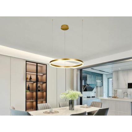 Dimmbare LED-Hängeleuchte LED/42W/230V 3000-6500K d 60 cm + Fernbedienung