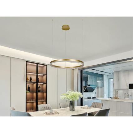 Dimmbare LED-Hängeleuchte LED/42W/230V 3000-6500K d 60 cm + Fernbedienung