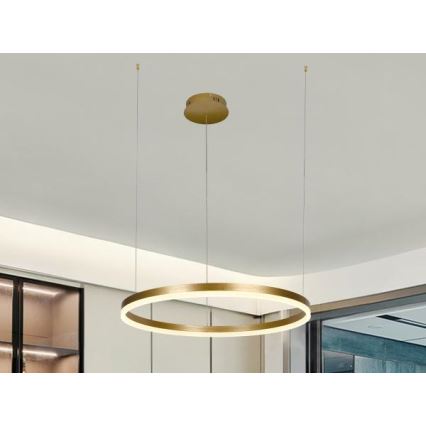 Dimmbare LED-Hängeleuchte LED/42W/230V 3000-6500K d 60 cm + Fernbedienung