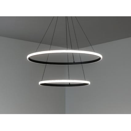 LED-dimmbare Pendelleuchte an Kabel LED/55W/230V 3000-6500K Ø 60 cm + Fernbedienung