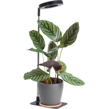Dimmbare LED-Tischlampe für Pflanzenanbau VERDI LED/5W/5V 1300K CRI 95 schwarz