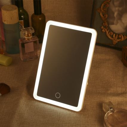 Dimmbarer Kosmetikspiegel mit LED-Beleuchtung LED/3W/5V USB