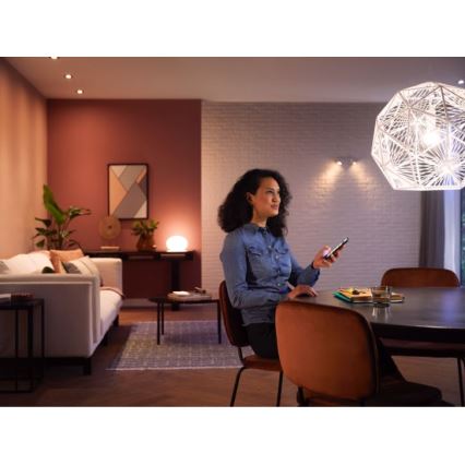 Dimmbares LED-Leuchtmittel Philips Hue WHITE E27/13,5W/230V 2700K