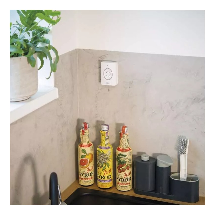 Drathlose Video-Türklingel mit Bewegungssensor GoSmart 12V/3xAA IP44 Wi-Fi Tuya