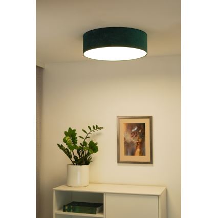 Duolla - LED Deckenleuchte CORTINA LED/26W/230V Ø 30 cm 4000K grün
