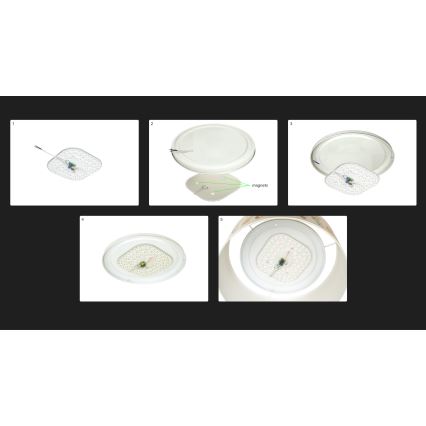 Duolla - LED Deckenleuchte CORTINA LED/26W/230V Ø 30 cm 4000K grün