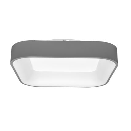 LED dimmbares Deckenleuchte NEST LED/40W/230V 3000-6500K grau + Fernbedienung