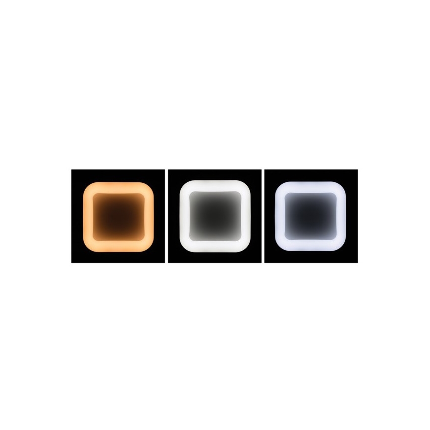 LED dimmbare Hängeleuchte an Seil NEST LED/40W/230V 3000-6500K grau + Fernbedienung