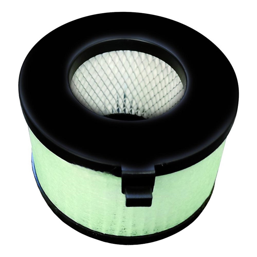 EcoStep 10324 - Ersatz-HEPA-Filter für Händetrockner R4.1