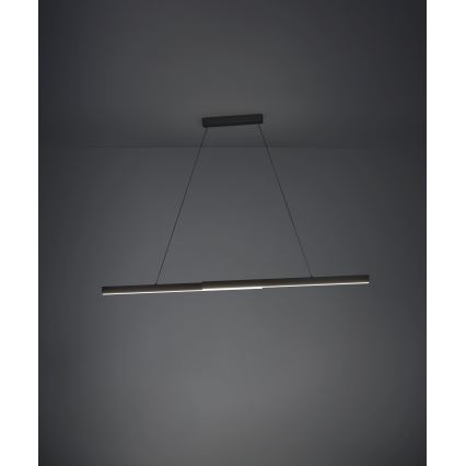 Eglo - LED dimmbare Hängeleuchte an Seil LED/20W/230V 3000K schwarz