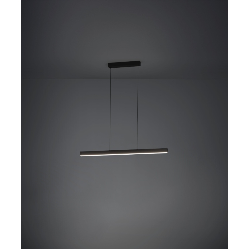 Eglo - LED dimmbare Hängeleuchte an Seil LED/20W/230V 3000K schwarz
