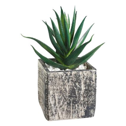 Eglo - Künstliche Pflanze im Blumentopf 13x9,5 cm Sukkulent