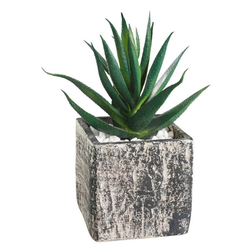 Eglo - Künstliche Pflanze im Blumentopf 13x9,5 cm Sukkulent