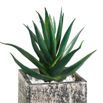 Eglo - Künstliche Pflanze im Blumentopf 13x9,5 cm Sukkulent