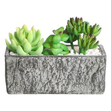 Eglo - Künstliche Pflanze im Blumentopf 14,5x17,8 cm Sukkulent