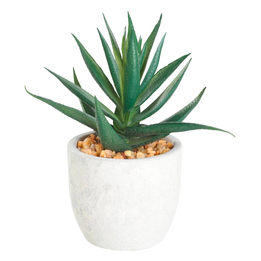 Eglo - Künstliche Pflanze im Blumentopf 15,5x10 cm Sukkulent