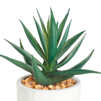 Eglo - Künstliche Pflanze im Blumentopf 15,5x10 cm Sukkulent