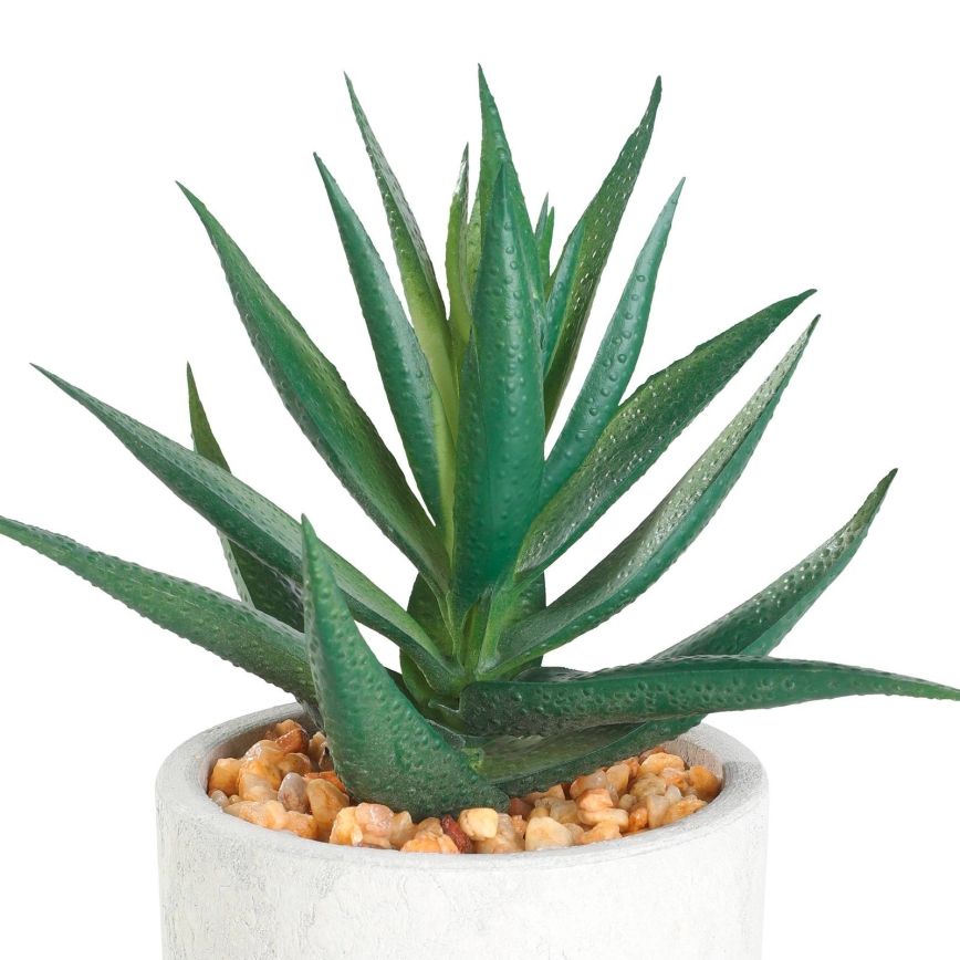 Eglo - Künstliche Pflanze im Blumentopf 15,5x10 cm Sukkulent