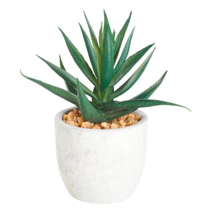 Eglo - Kunstpflanze im Blumentopf 15,5x10 cm Sukkulente