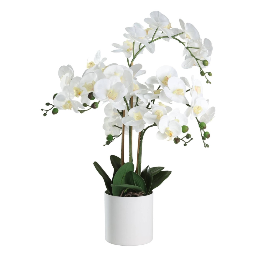 Eglo - Künstliche Pflanze in Blumentopf 65x50 cm Orchidee