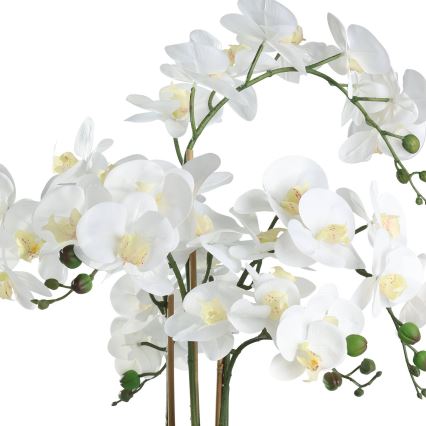 Eglo - Künstliche Pflanze in Blumentopf 65x50 cm Orchidee
