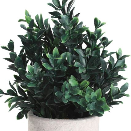Eglo - Künstliche Pflanze im Blumentopf 23x18 cm