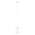 Eglo 62265 - Hängeleuchte PASCOA PRO 1xE27/60W/230V 15,6 cm weiß