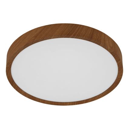 Eglo - LED Deckenleuchte LED/14,6W/230V
