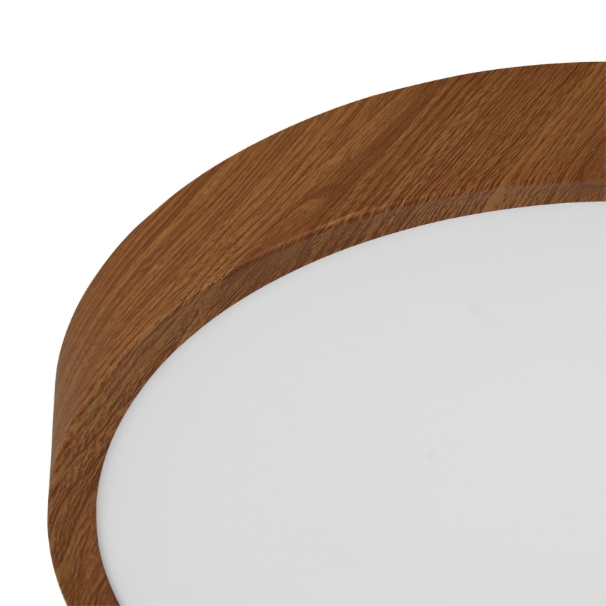 Eglo - LED Deckenleuchte LED/14,6W/230V