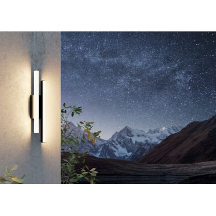 Eglo - LED Außenwandleuchte 2xLED/4,2W/230V IP55