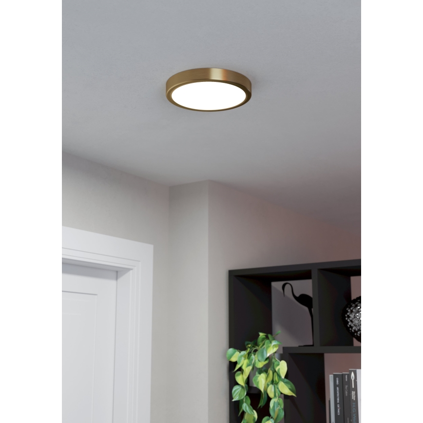 Eglo - LED Deckenleuchte LED/17W/230V Ø 21 cm