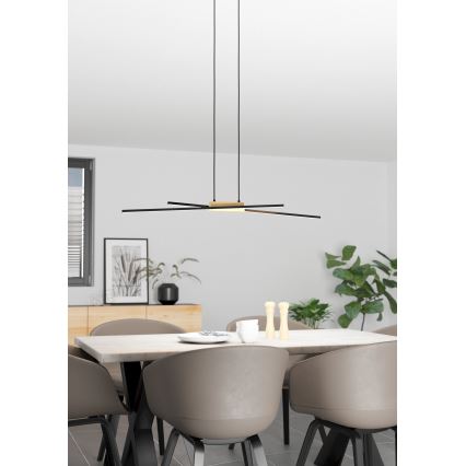 Eglo - LED dimmbare Hängeleuchte an Kabel 2xLED/13W/230V