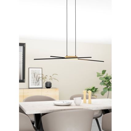 Eglo - LED dimmbare Hängeleuchte an Kabel 2xLED/13W/230V