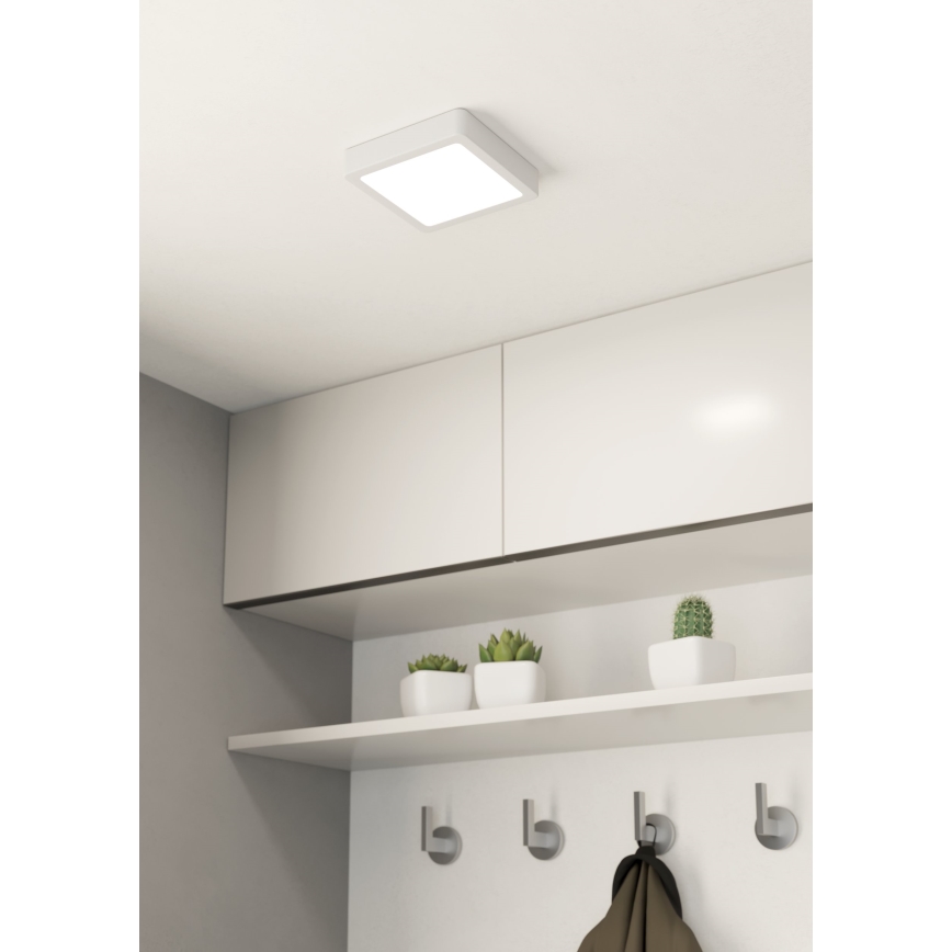 Eglo - LED dimmbare Deckenleuchte LED/11W/230V weiß