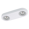 Eglo 94176 - LED Spotlight MONTALE 2xLED/5,4W/230V