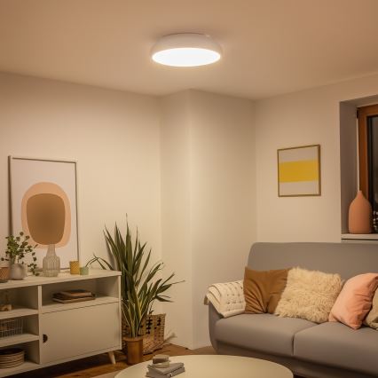 Eglo 98045 - LED Dimmbare Deckenleuchte RIODEVA-C LED/27W/230V