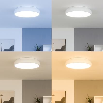 Eglo 98045 - LED Dimmbare Deckenleuchte RIODEVA-C LED/27W/230V