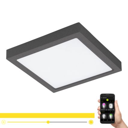 Eglo - LED dimmbares Außenleuchte ARGOLIS-C LED/22W/230V IP44 Bluetooth